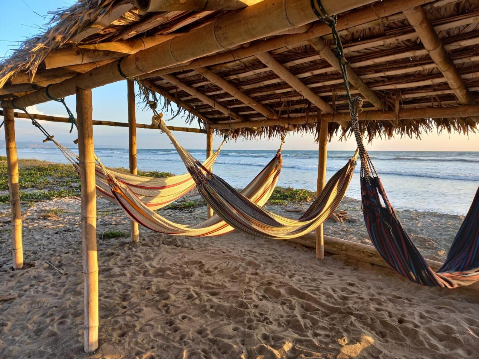 Canoa South Beach Luaran gambar