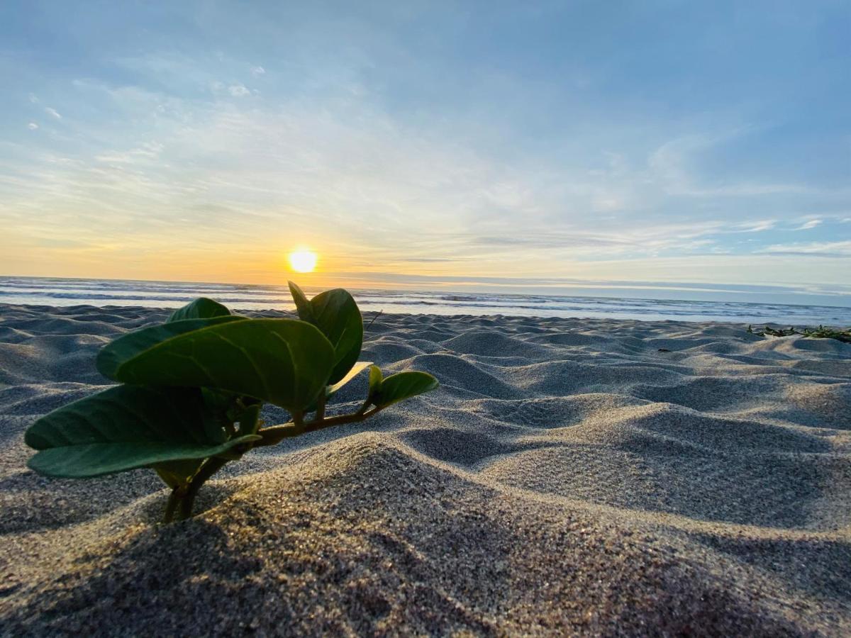 Canoa South Beach Luaran gambar